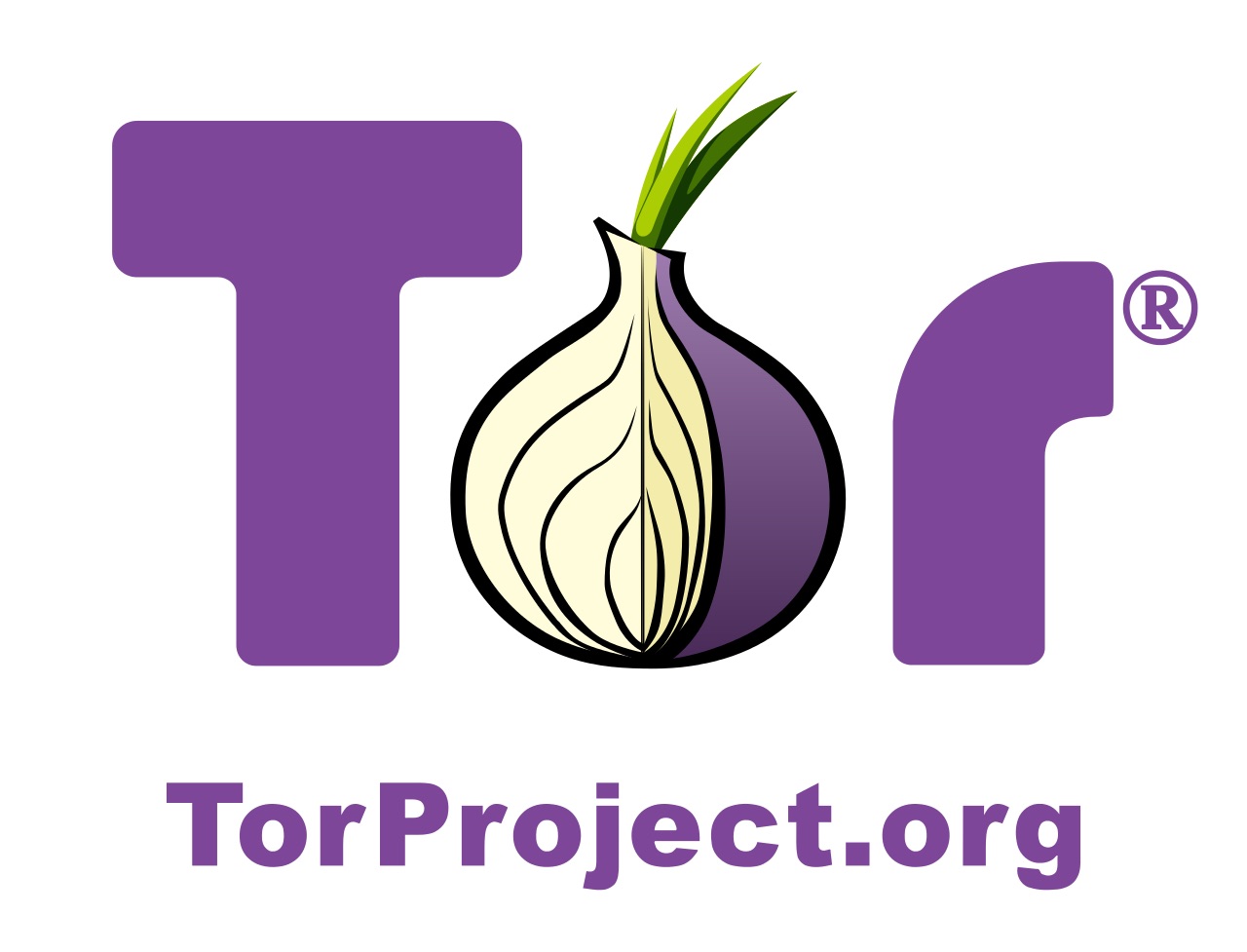 Tor non è sicuro: azienda italiana trova una falla gravissima thumbnail