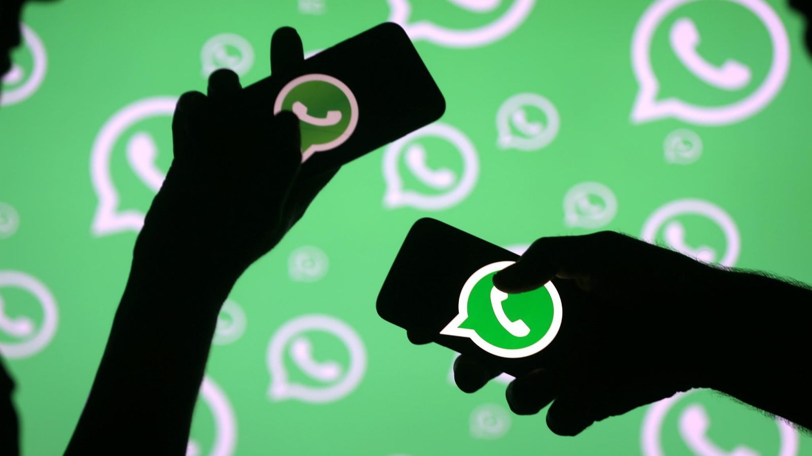WhatsApp vs. Fake news: l’app etichetterà i messaggi inoltrati thumbnail