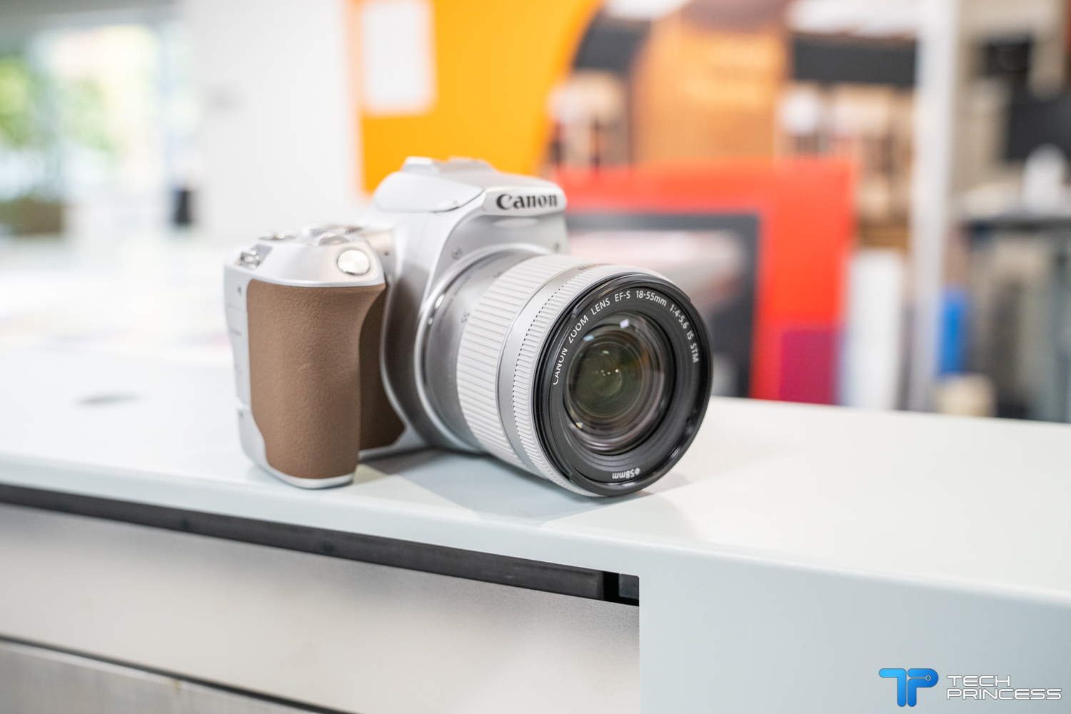 Canon EOS 250D : ecco la nuova reflex entry level thumbnail