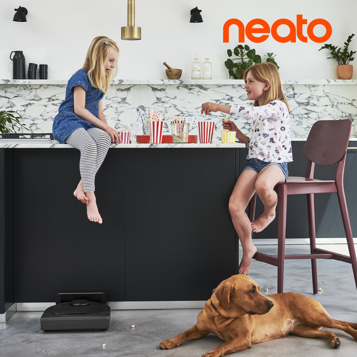 Neato lancia i nuovi modelli Premium Pet Edition compatibili con Alexa thumbnail