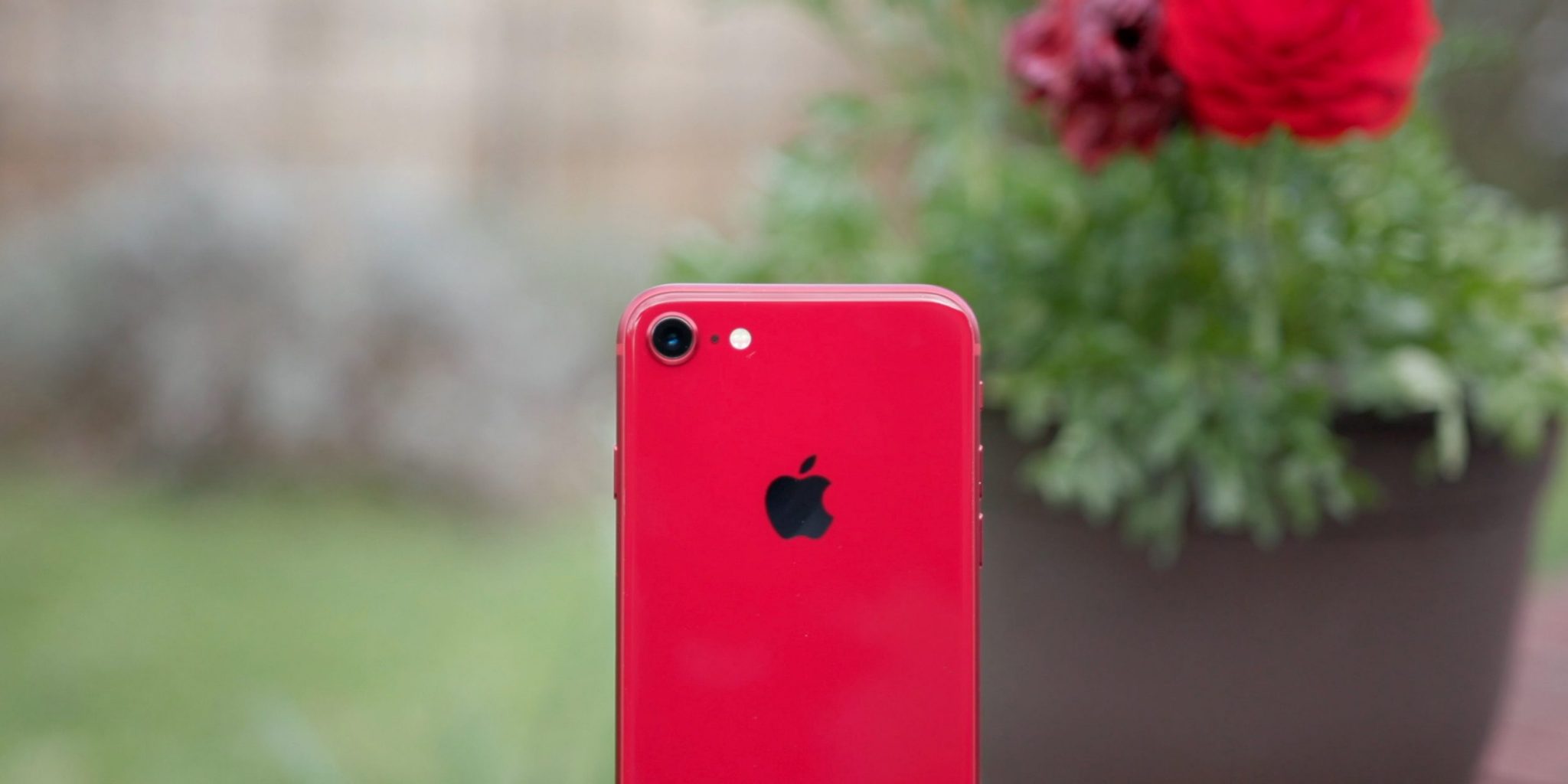 iPhone SE può scattare foto in modalità ritratto con una sola fotocamera thumbnail