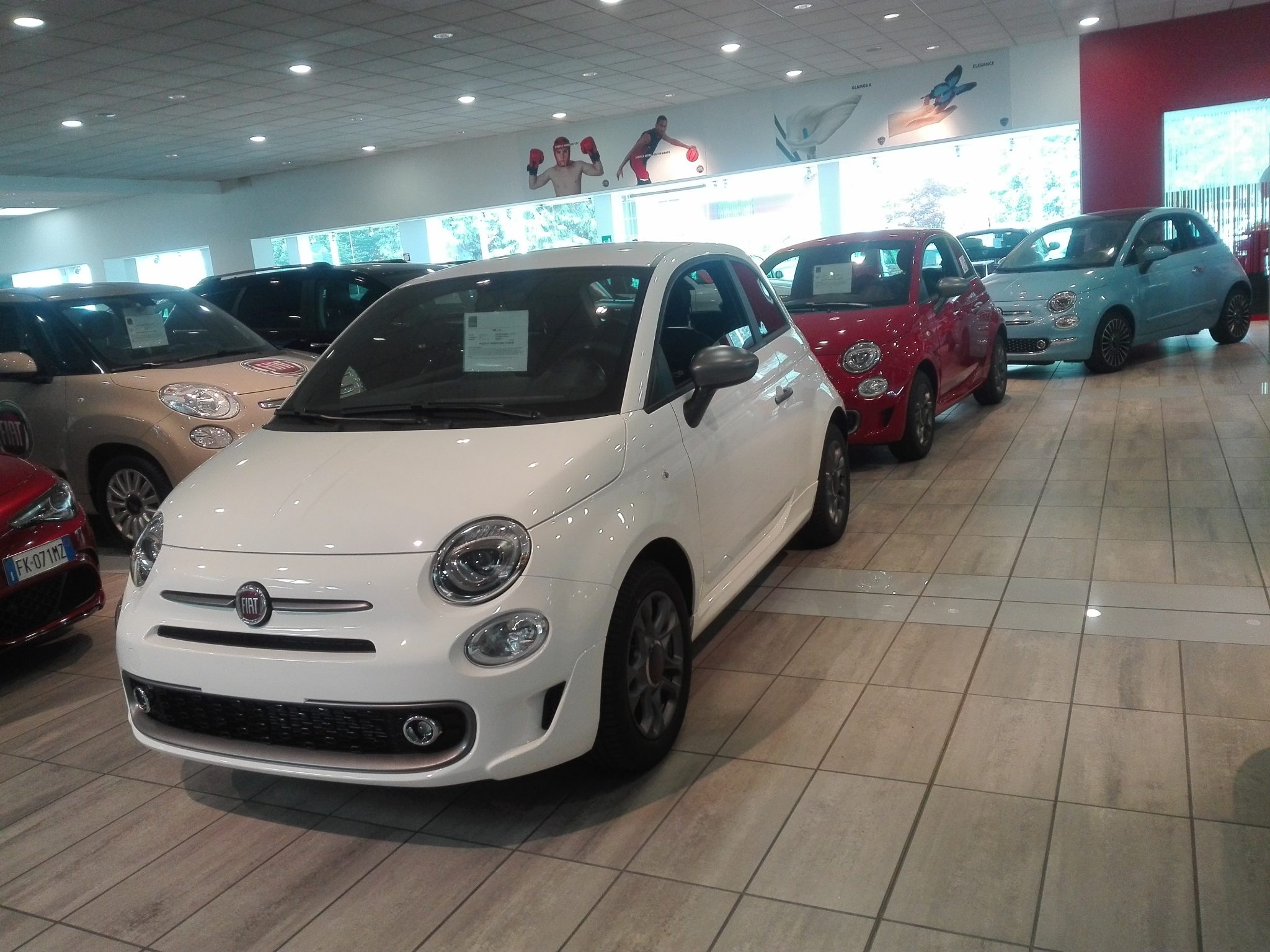 vendita auto concessionario FIAT