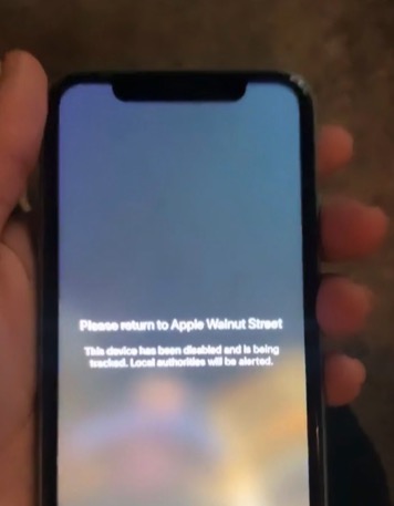 apple store iphone rubati