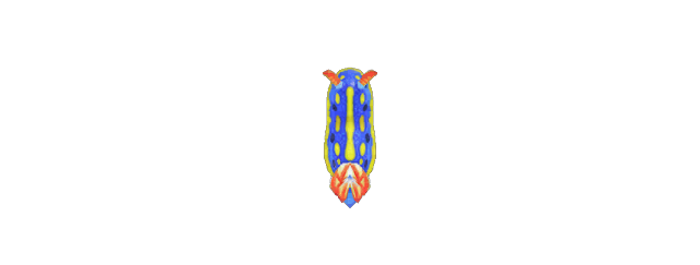 Nudibranchi Animal Crossing creature marine