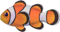 Pesce Pagliaccio Animal Crossing New Horizons