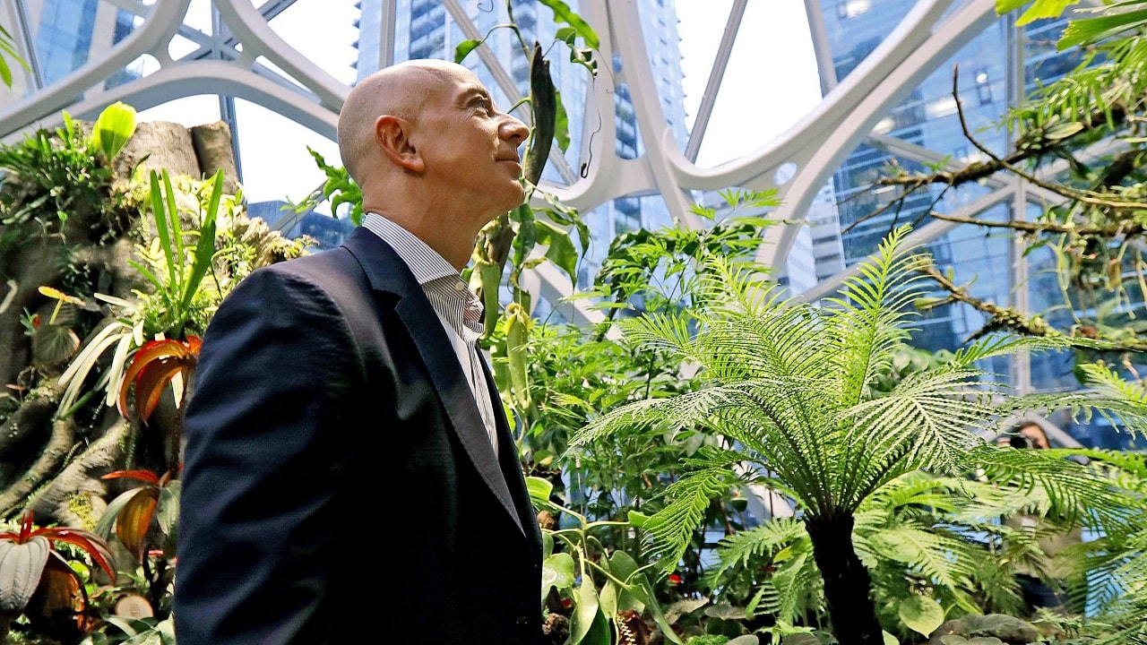 Jeff Bezos annuncia i primi beneficiari del fondo da 10 miliardi per l'ambiente thumbnail