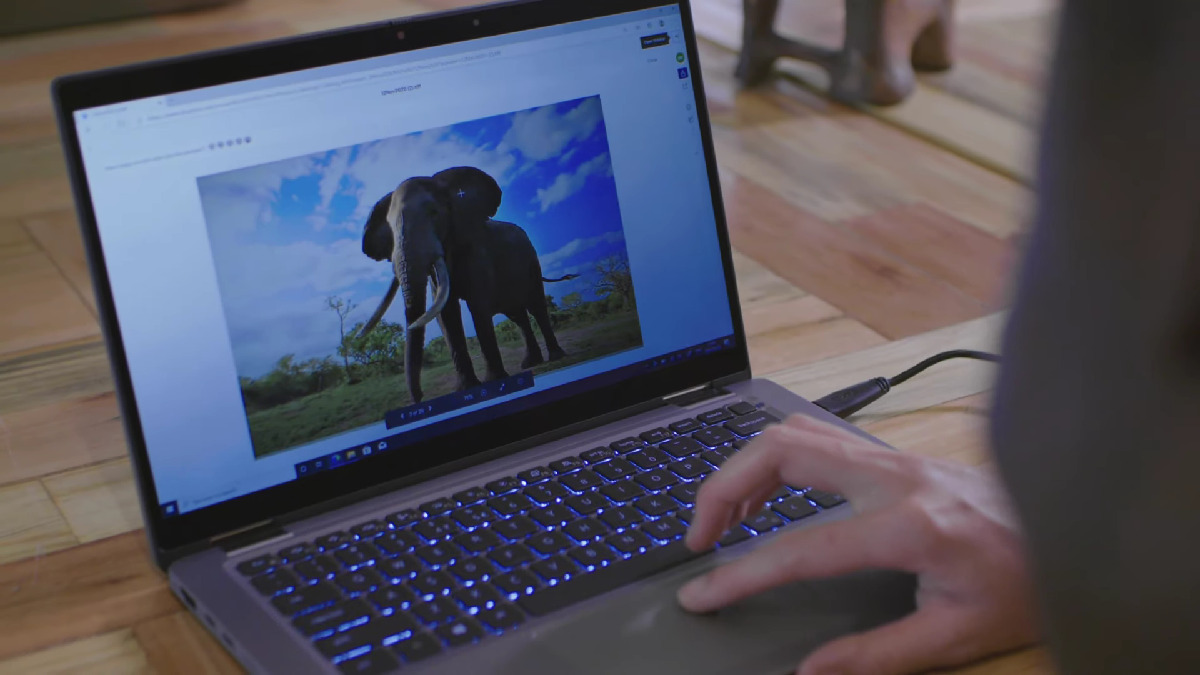 Dell Technologies supporta le attività di Elephants Alive thumbnail