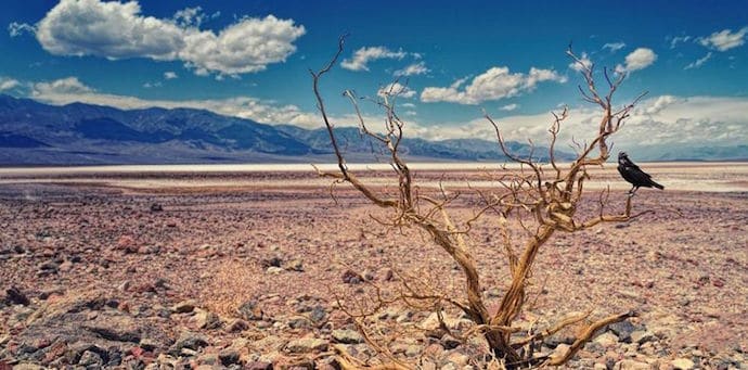 Giornata mondiale per la lotta alla desertificazione e alla siccità 