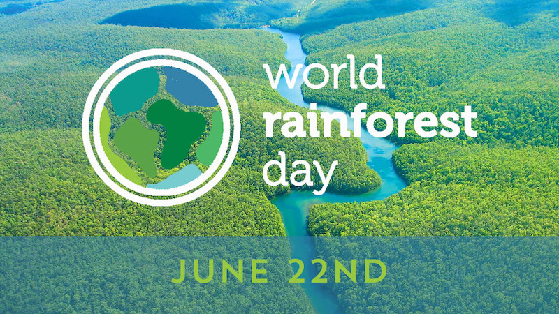 giornata mondiale della foresta pluviale