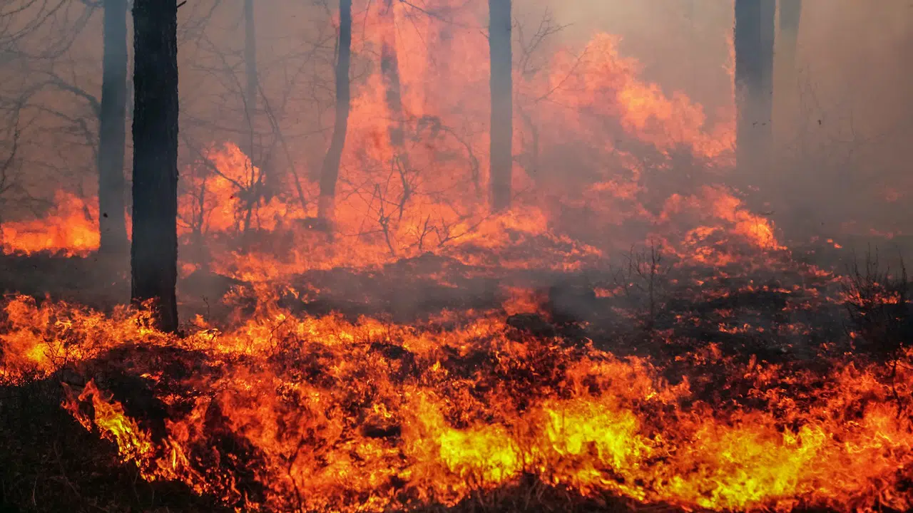 Sardegna: la provincia di Oristano avvolta dagli incendi thumbnail