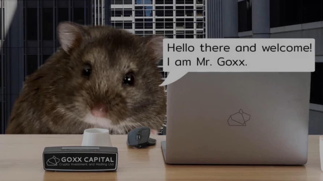 Mr Goxx, il criceto che investe in criptovalute thumbnail