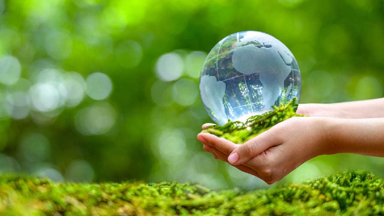 Generazione Z: i 5 comportamenti "green" per salvare il pianeta thumbnail
