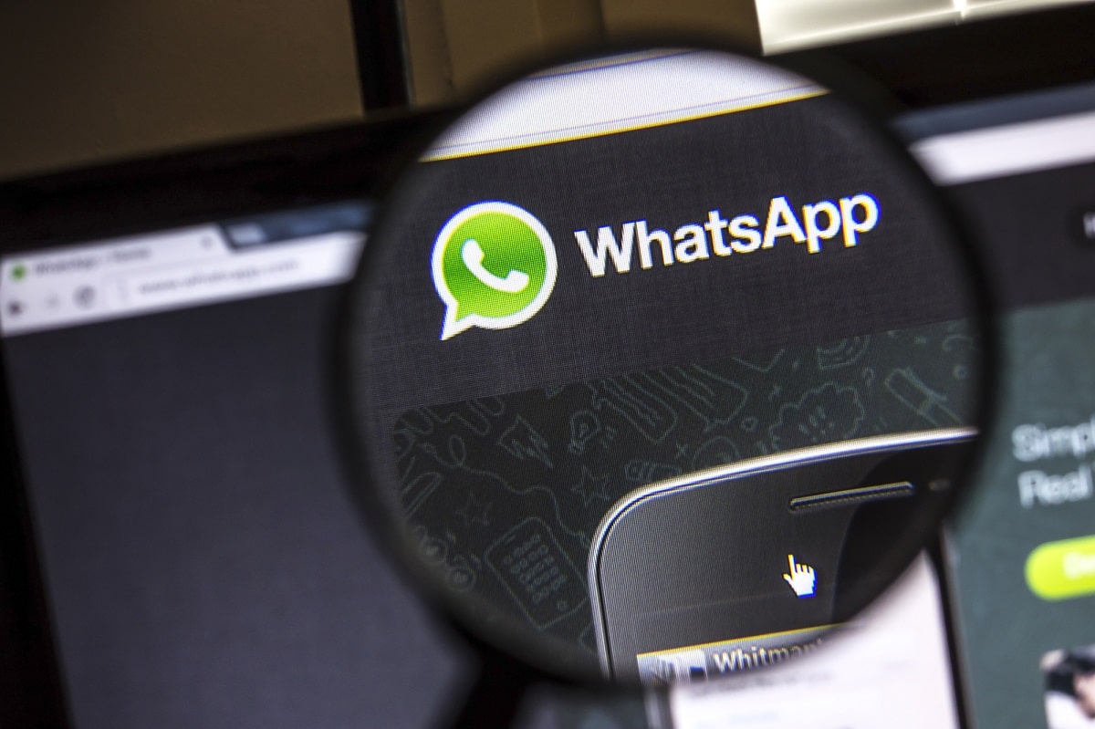WhatsApp Desktop: nuova beta disponibile thumbnail