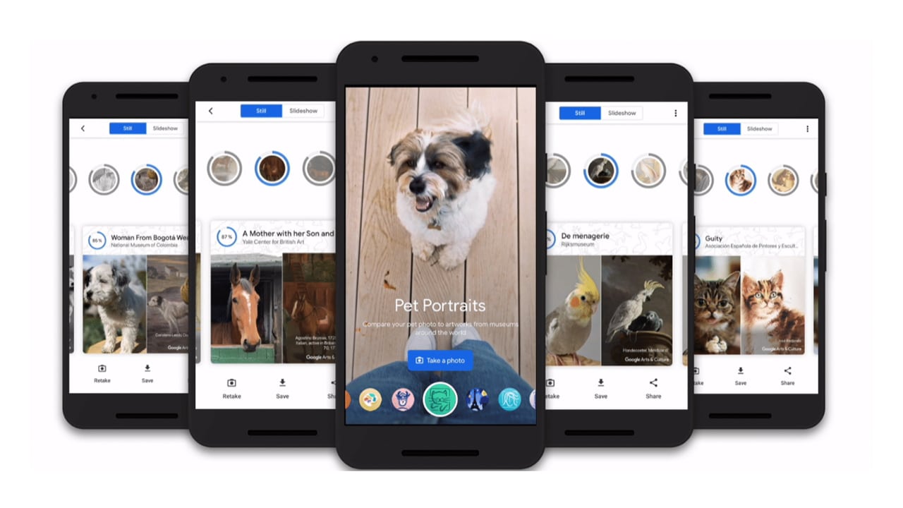 L'app Google Art and Culture ora vi dice a quale dipinto somiglia il vostro animale domestico thumbnail