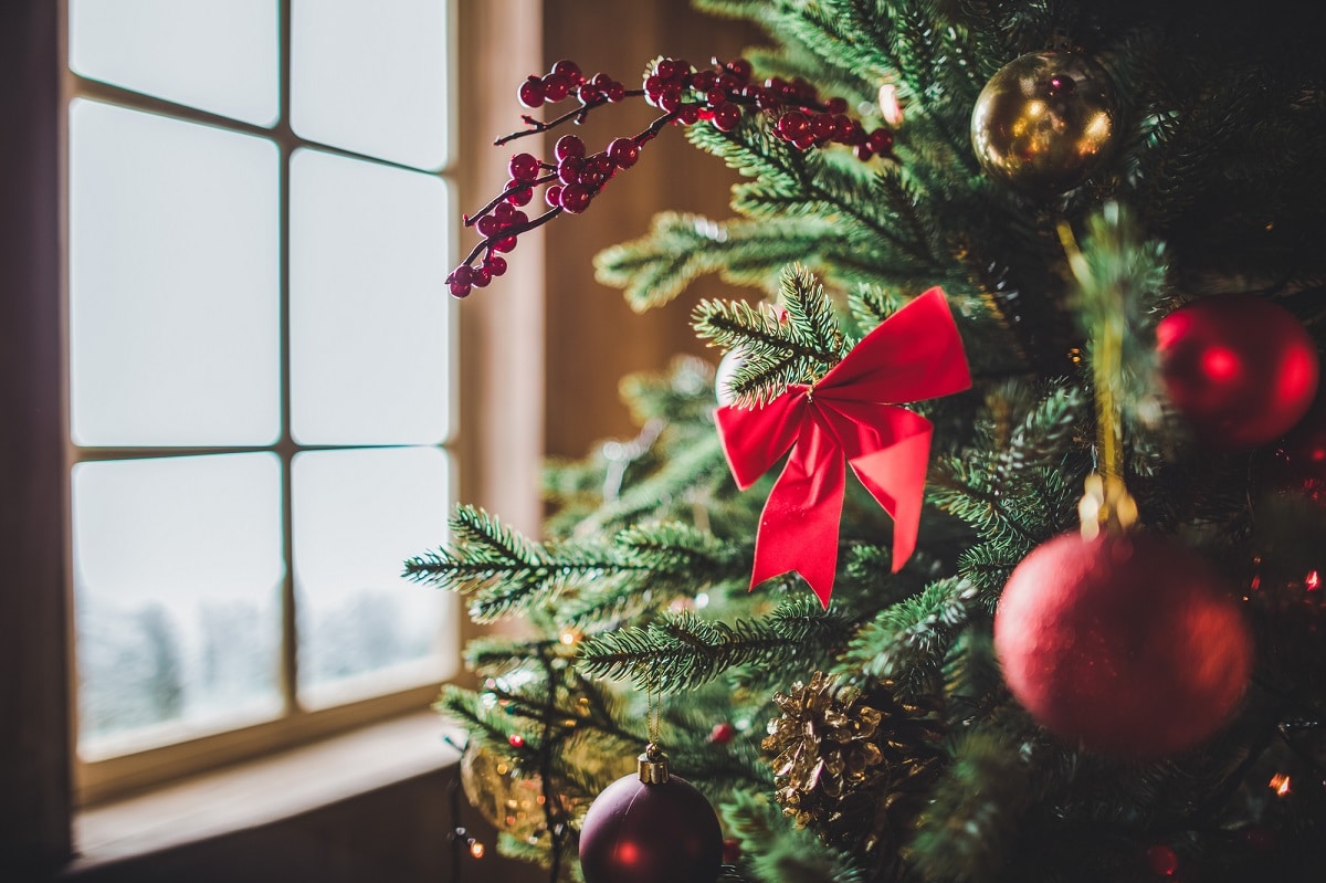 Gli italiani a Natale: 8 regali sotto l'albero e una spesa media di 300 euro thumbnail