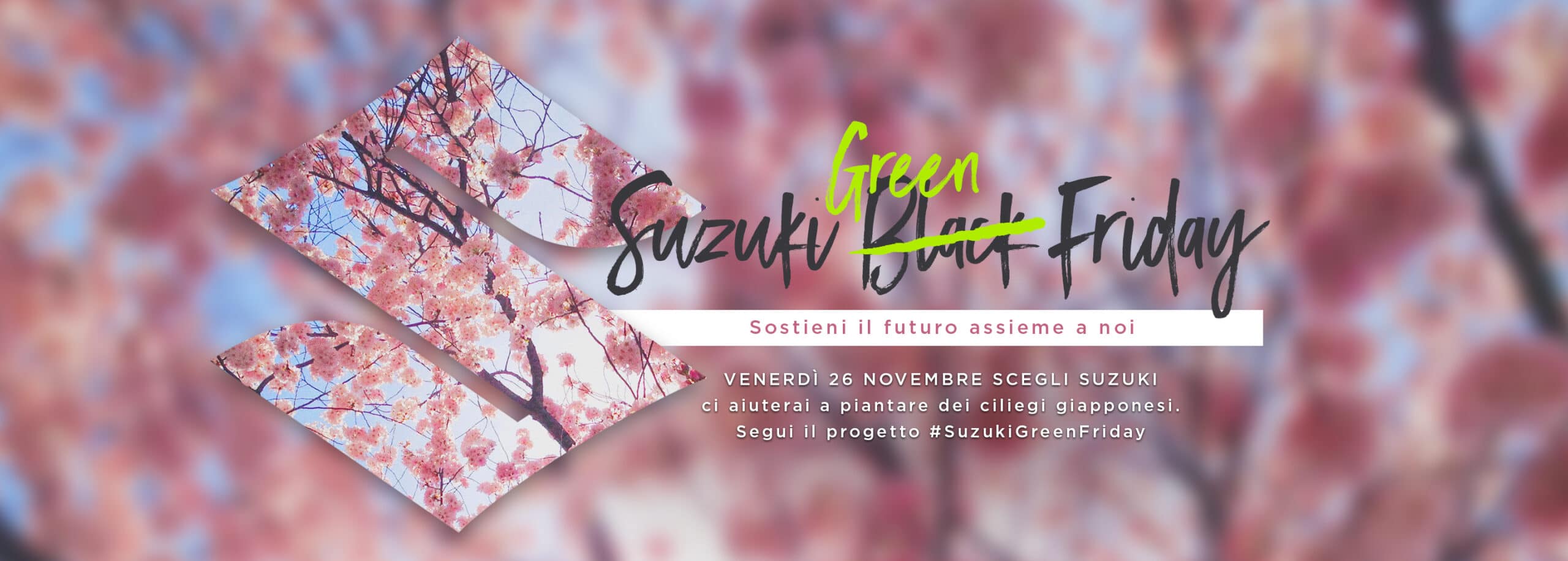 Grazie all’iniziativa Green Friday Suzuki pianta ciliegi giapponesi in tutta Italia thumbnail