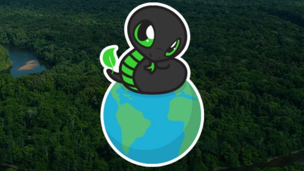 Razer e Conservation International festeggiano la salvaguardia di 1 milione di alberi thumbnail