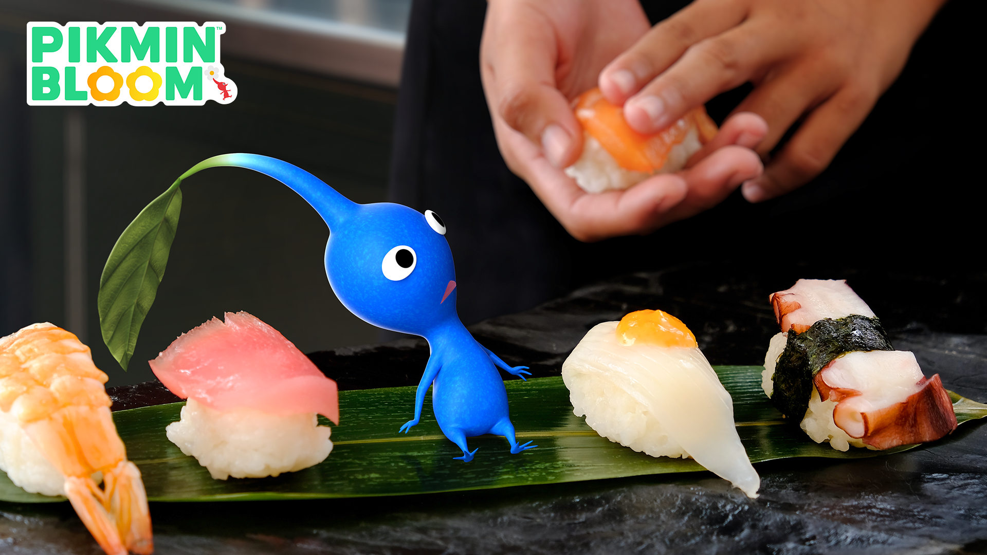 Questo mese arrivano i Pikmin decorati Sushi thumbnail