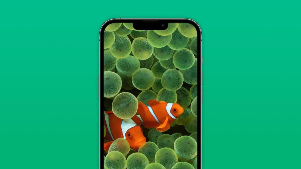 iOS 16 sfondo pesci