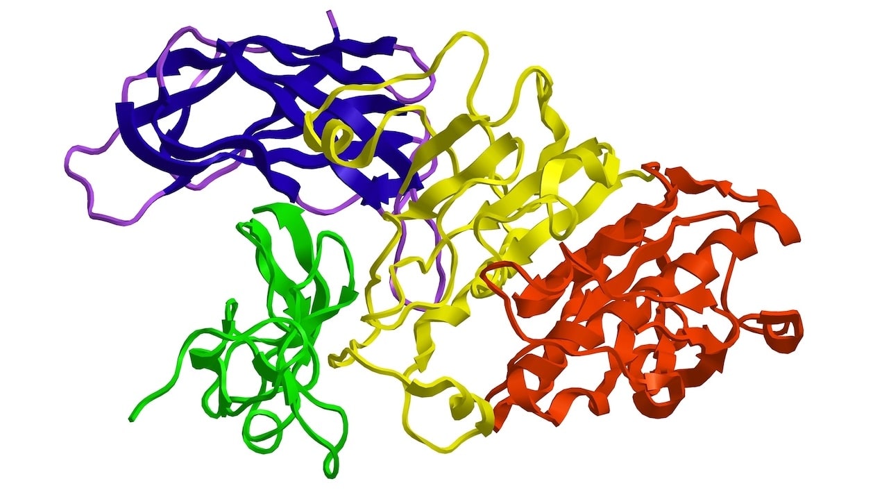 DeepMind ha ricostruito la struttura 3D di (quasi) tutte le proteine thumbnail