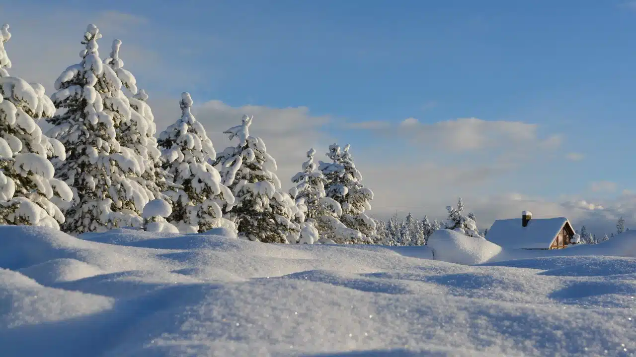Natale al Polo Nord: come addobbare casa per le feste 2022 thumbnail