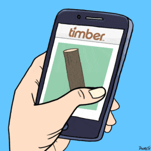 b1nary episodio 16 timber 1