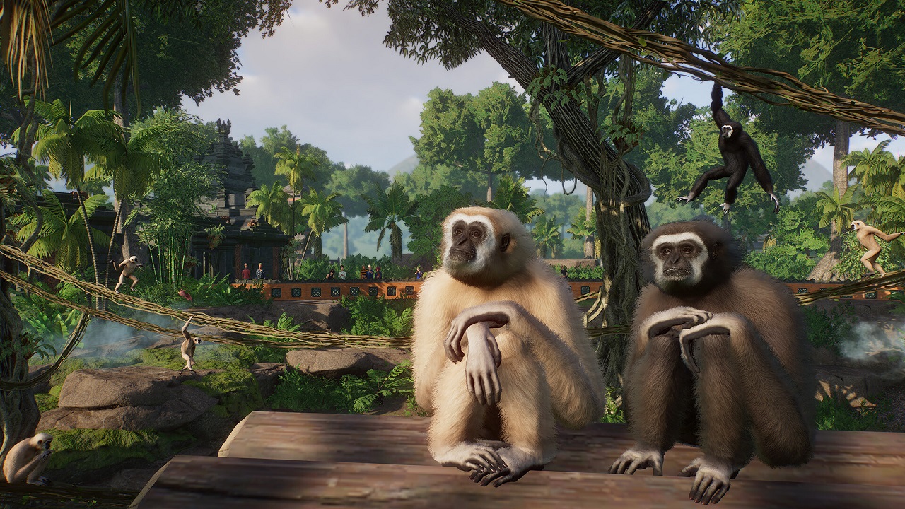 La recensione del Tropical pack di Planet Zoo: scimmie ovunque thumbnail