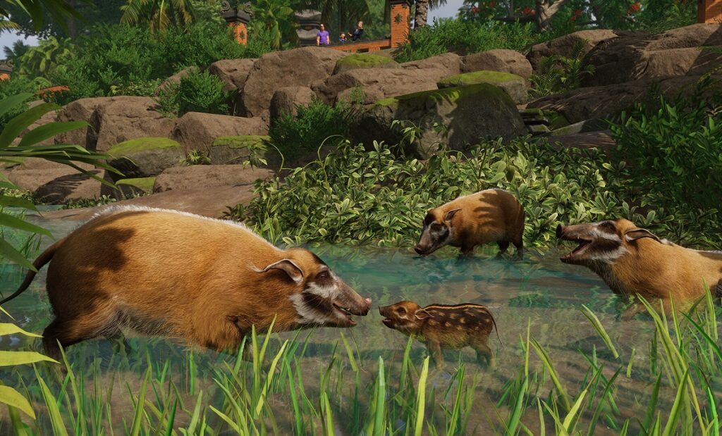 Planet Zoo Tropical Pack recensione1