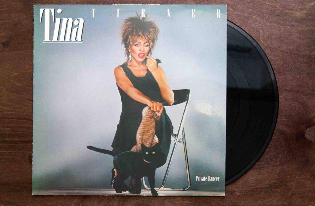 what's love got to do with it tina turner significato storia