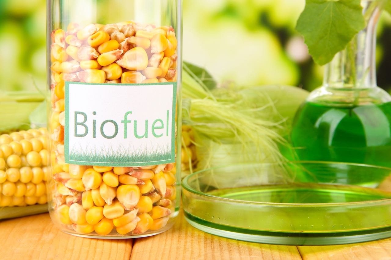 Biocarburanti, continua la crescita +20% di consumo l'anno thumbnail