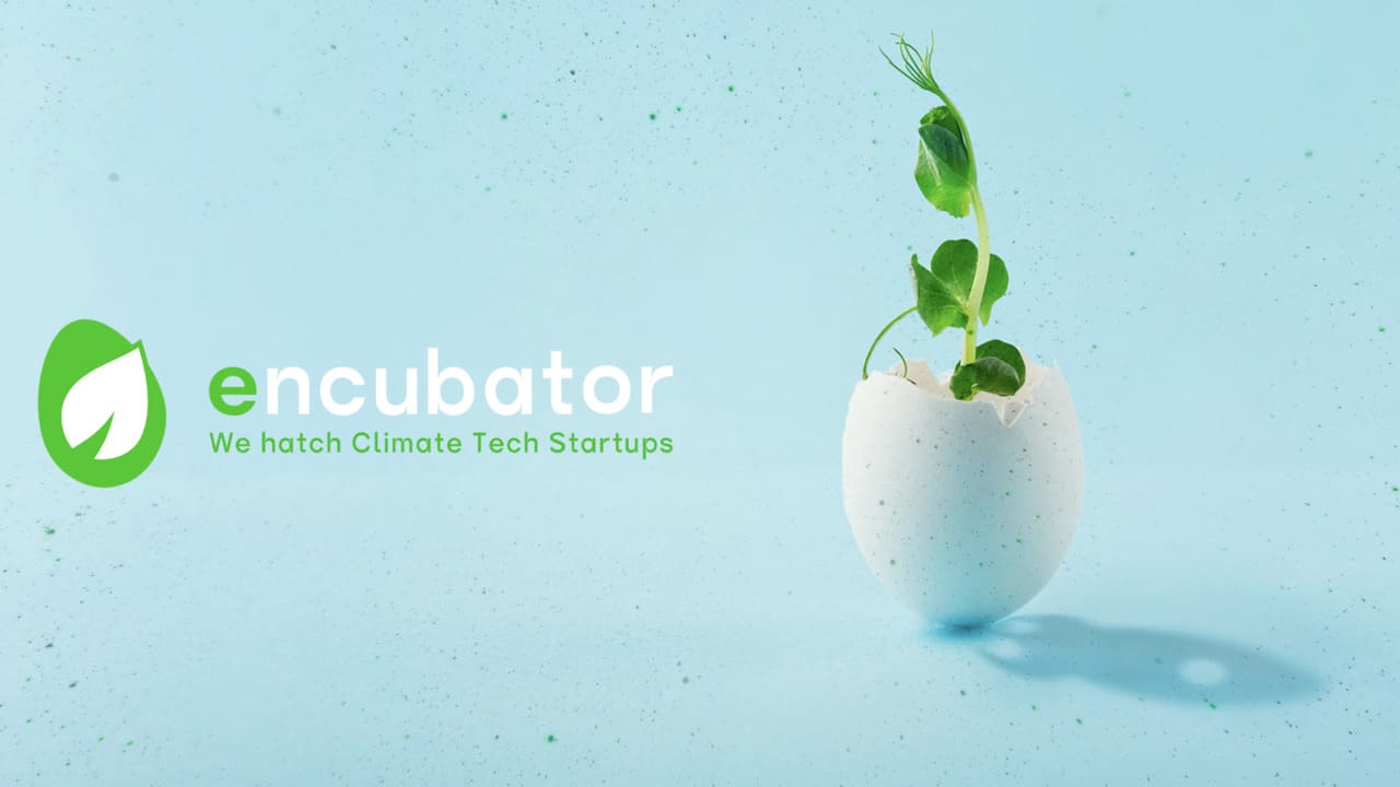 Encubator, il programma che ricerca startup sostenibili per valorizzare il loro potenziale thumbnail