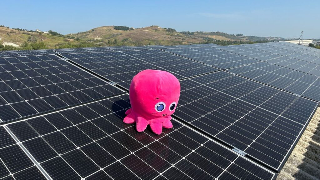 Octopus Energy Solar Club Ascoli Piceno