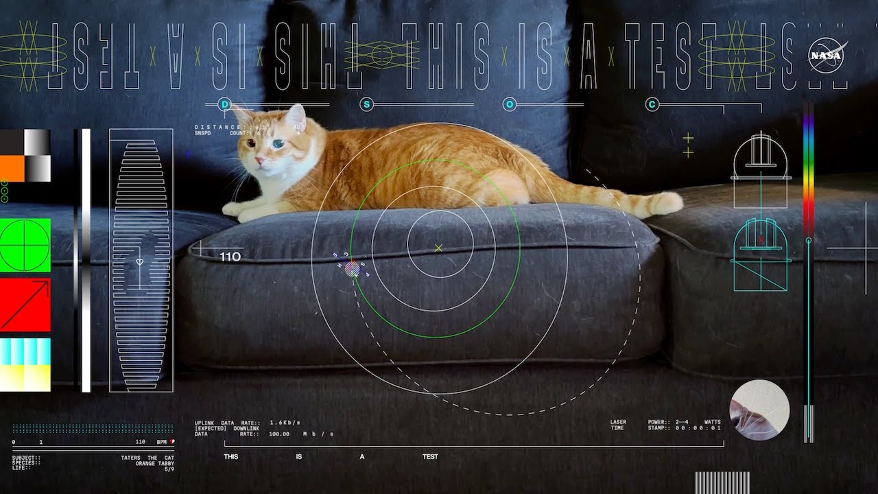 NASA invia un video con un laser dallo spazio: quello di un gatto su un divano thumbnail