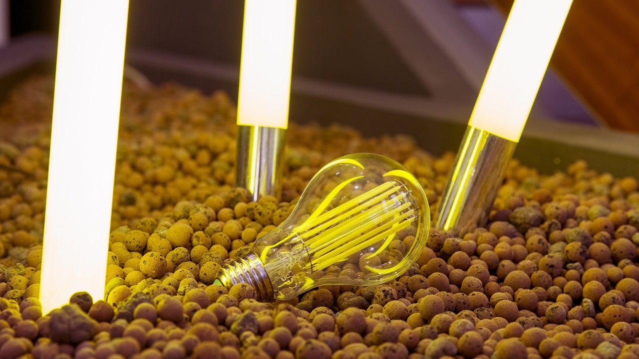 Scegliere la giusta lampadina fa davvero risparmiare energia? thumbnail