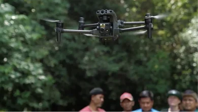 I droni termici di DJI per il censimento degli oranghi nel Borneo