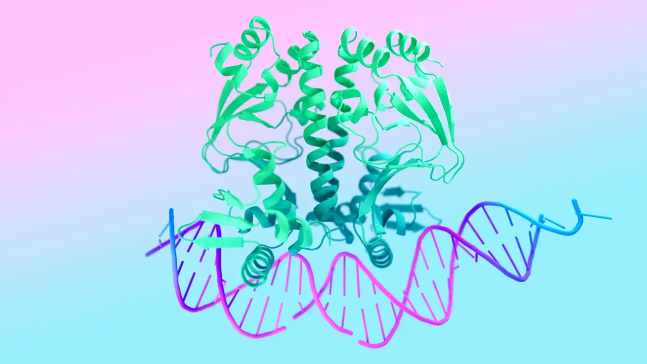 AlphaFold 3: l'AI pensato per svelare i segreti di DNA, RNA e molecole thumbnail