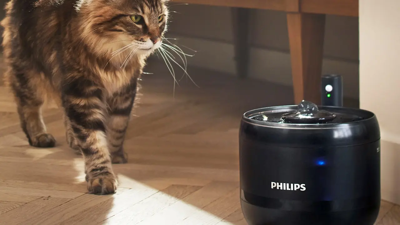 Philips lancia Pet Series, la nuova gamma di prodotti smart per animali domestici thumbnail